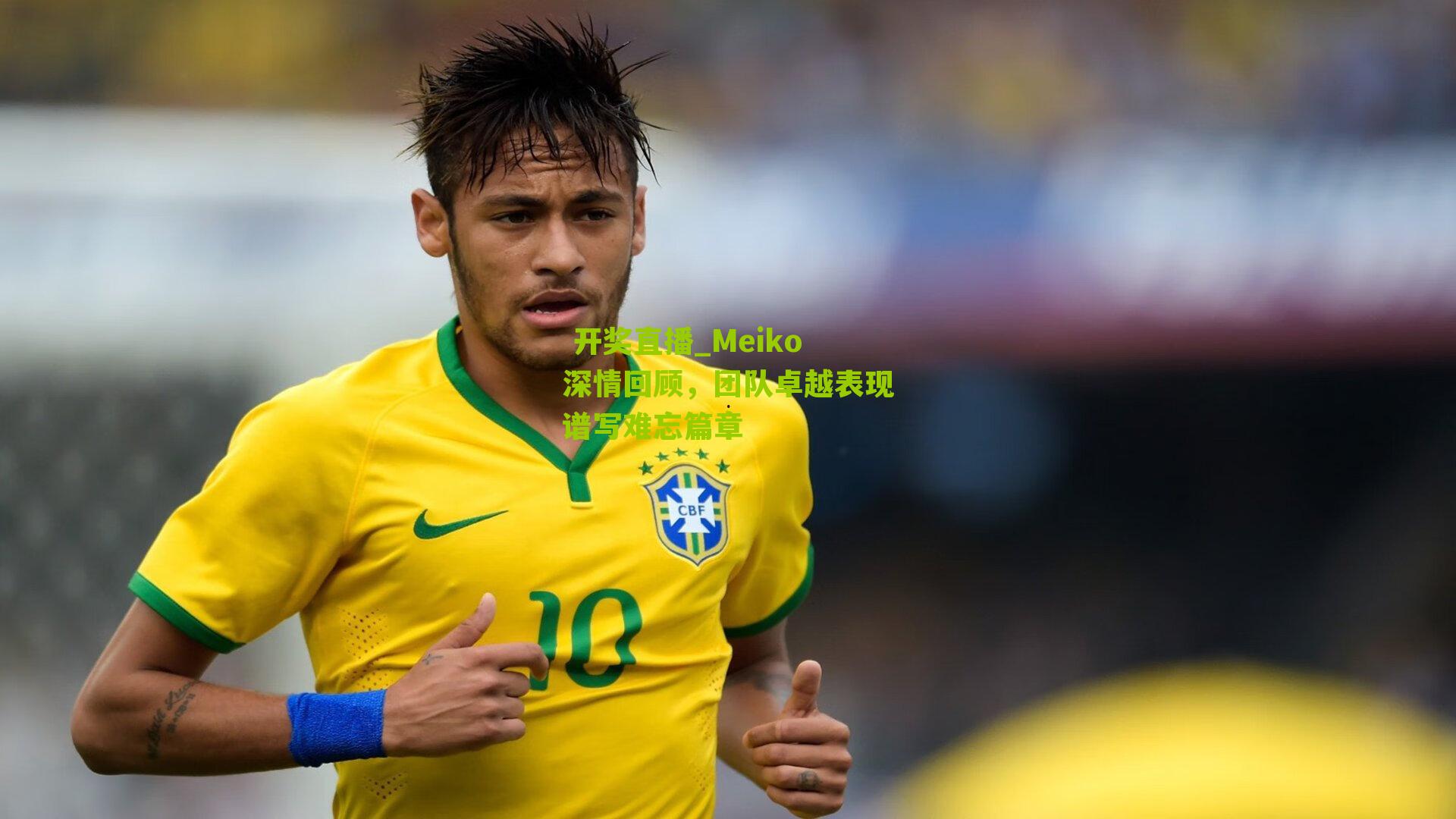 Meiko深情回顾，团队卓越表现谱写难忘篇章